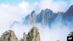 금강산 관광 행렬
