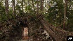 The painted figure of a man — possibly a scribe who once lived in the house built by the ancient Maya — is illuminated through a doorway to the dwelling, in northeastern Guatemala. (Tyrone Turner © 2012 National Geographic) 