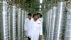 Iran: Agreement Reached with Atomic Inspectors on 'Some Points'