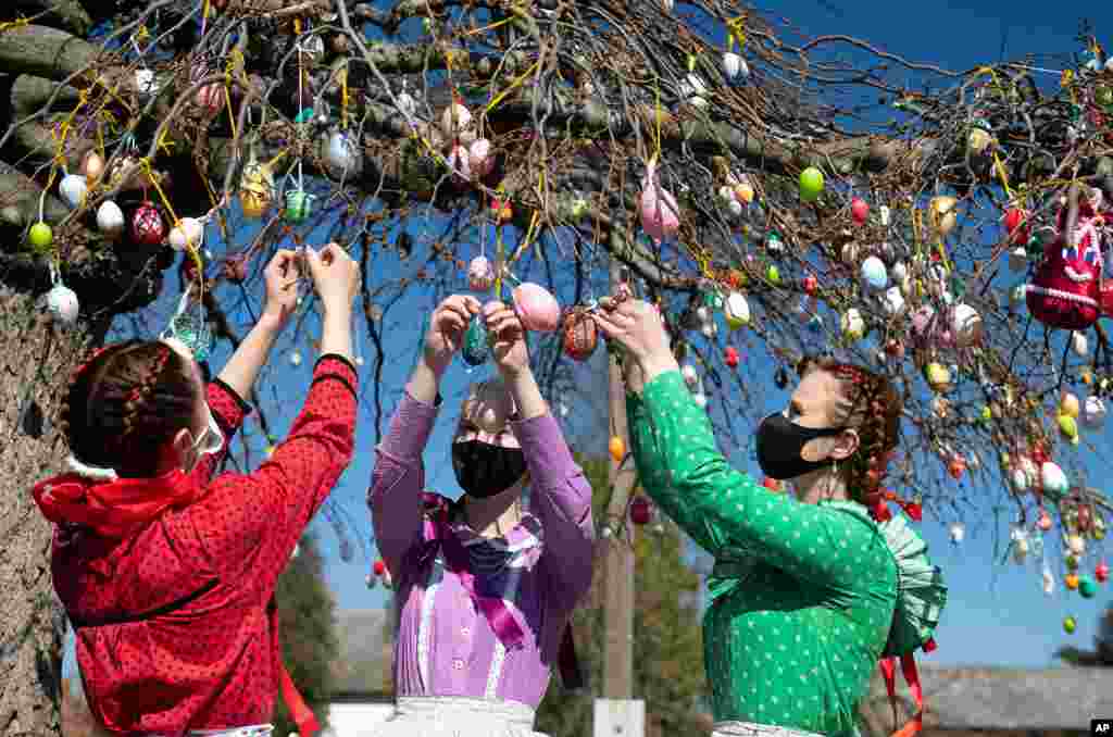 Dressed in folk costumes, young women decorate a tree with painted Easter eggs in Dombrad, Hungary.