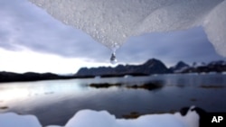 Sebuah gunung es meleleh dekat lingkaran Arktik, Kulusuk, Greenland.