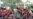 Libyans Express Hope for Modern Islamic Democracy