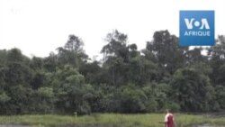 Tensions dans le delta du Niger