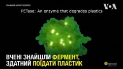 Вчені знайшли фермент, здатний поїдати пластик. Відео