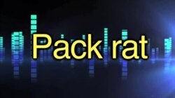 Английский за минуту - Pack rat - барахольщик
