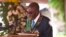Zimbabwean President Robert Mugabe delivers his speech during the country's 37 Independence celebrations in Harare, April, 18, 2017. 