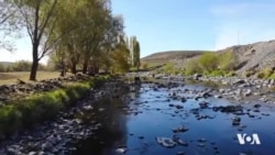 Bilûrvan Cemal Demîr ji Şopa Egîdê Cim, Xelîlê Evdile û Şamilê Beko Diçe