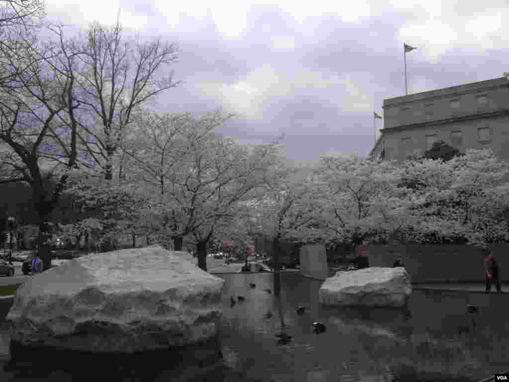 日裔美國人囚禁紀念碑外。（美國之音日張皓程攝）