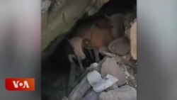 ༧གོང་ས་མཆོག་གིས་དིང་རིར་ས་ཡོམ་གོད་ཆག་བྱུང་བར་ཐུགས་གསོ། 