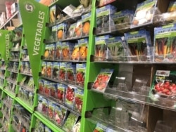 Seeds are displayed at a garden center, April 14, 2020, in Nitro, W. Va.