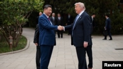 美国总统唐纳德·特朗普在中国北京中南海花园参观结束后离开时，与中国国家主席习近平交谈。(2026年5月15日)