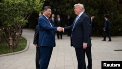 2026년 5월 15일 중국 베이징 중난하이 정원을 방문한 후 떠나며 대화를 나누고 있는 도널드 트럼프 미국 대통령(왼쪽)과 시진핑 중국 국가주석.
