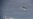 Armada de Ecuador vigila gran flota pesquera china cerca de Islas Galápagos