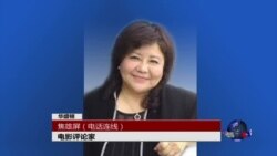 VOA连线：华语电影的前景与挑战