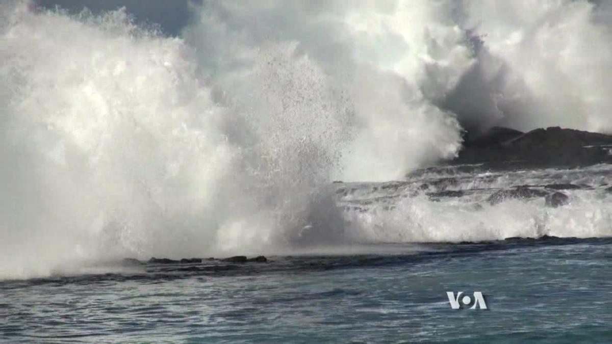 Live news hawaii tsunami