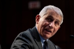 Dr. Anthony Fauci, Director at the National Institute Of Allergy and Infectious Diseases speaks at a U.S. Senate Health, Education, Labor, and Pensions Committee hearing in Washington, March 18, 2021.