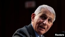 FILE - Dr. Anthony Fauci, director of the National Institute of Allergy and Infectious Diseases, speaks at a U.S. Senate Health, Education, Labor and Pensions Committee hearing in Washington, March 18, 2021.