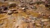 Polluted Streams May Yield Minerals Critical for High Tech