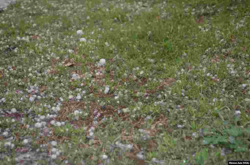 اسلام آباد میں بدھ کو موسلادھار بارش اور ژالہ باری کا سلسلہ وقفے وقفے سے جاری رہا۔ &nbsp;