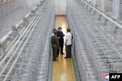 Pemimpin Korea Utara Kim Jong Un (tengah) sedang meninjau Institut Senjata Nuklir dan pangkalan produksi bahan nuklir kelas senjata, di lokasi yang dirahasiakan di Korea Utara, 13 September 2024. (Foto oleh KCNA VIA KNS/AFP)