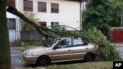 Drvo srušeno ispred kuće u Zagrebu, 19. jula 2023. (Foto: AP)