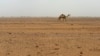 Study: Sahara Changed from Wet to Dry Every 20,000 Years