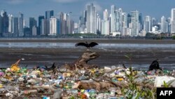 海洋塑料垃圾氾濫 威脅生態清理難