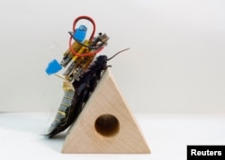 A Madagascar hissing cockroach, mounted with a "backpack" of electronics and a solar cell that enable remote control of its movement, traverses an obstacle during a photo opportunity at the Thin-Film Device Laboratory of Japanese research institution Riken in Wako, Saitama Prefecture, Japan September 16, 2022. (REUTERS/Kim Kyung-Hoon)