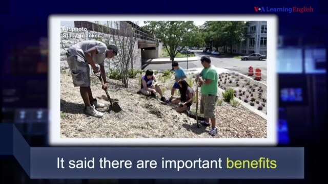 News Words - VOA
