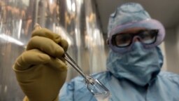 A technician shows a vial of the Cuban made COVID-19 vaccine called “Soberana 02” at the packaging processing plant of the Finlay Vaccine Institute in Havana, Cuba, Wednesday, Jan. 20, 2021. The director of the Finlay Institute said that Cuba hopes…