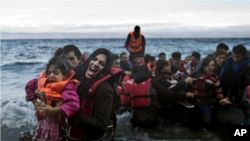 MIGRANT 