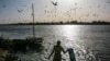 FILE - Birds circle above a Sudanese fisherman as he washes his day's catch in the early morning hours by the Nile River bank, in Omdurman, Khartoum, Sudan. 