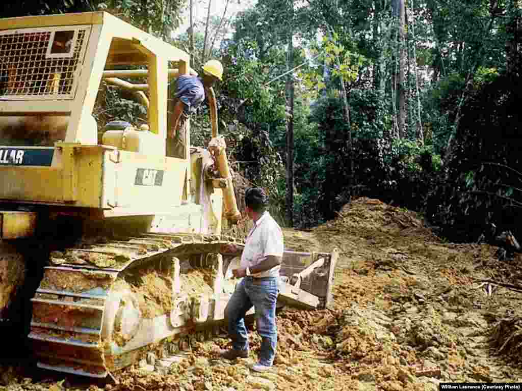 The corridors are intended to rapidly accelerate agriculture, mining and land colonization, often in sparsely populated areas.