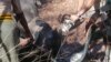 Rhino dehorning. (Photo: Courtesy - AWARE Trust in Zimbabwe)