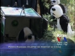 Kilas VOA 8 November 2013