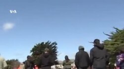 Пасхальные собачьи радости
