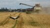 ARCHIVES - Récolte de blé dans un champ près du village de Zghurivka, dans la région de Kiev, en Ukraine, le 9 août 2022.