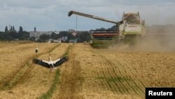 ARCHIVES - Récolte de blé dans un champ près du village de Zghurivka, dans la région de Kiev, en Ukraine, le 9 août 2022.