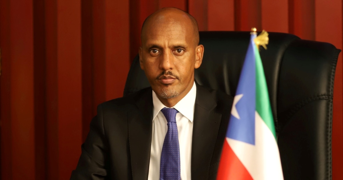 Seksual Playboy Qizlar