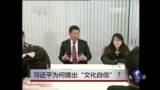 时事大家谈：习近平为何提出“文化自信”？