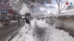 د کوټې په واوره او یخ موسم کې خلک د خوراکونو نه خوندونه اخلي