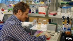 Researcher Jimmy O'Donnell at the University of Washington lab bench where he processes eDNA samples. (VOA / T. Banse)