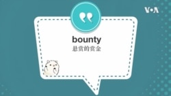 学个词--bounty