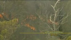 သတင်း အကျဉ်းချူပ် (၁၂-၃၀-၂၀၁၉)