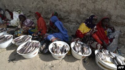 Chadian Self-Defense Groups on Alert for Boko Haram