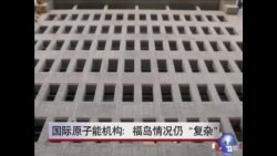 国际原子能机构：福岛情况仍复杂