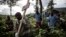 FILE - Health workers carry a coffin containing a victim of the Ebola virus on May 16, 2019 in Butembo. 