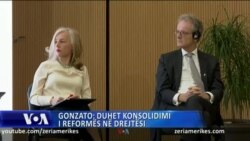 Gonzato: Tani Shqipërisë i duhet ta konsolidojë reformën në drejtësi