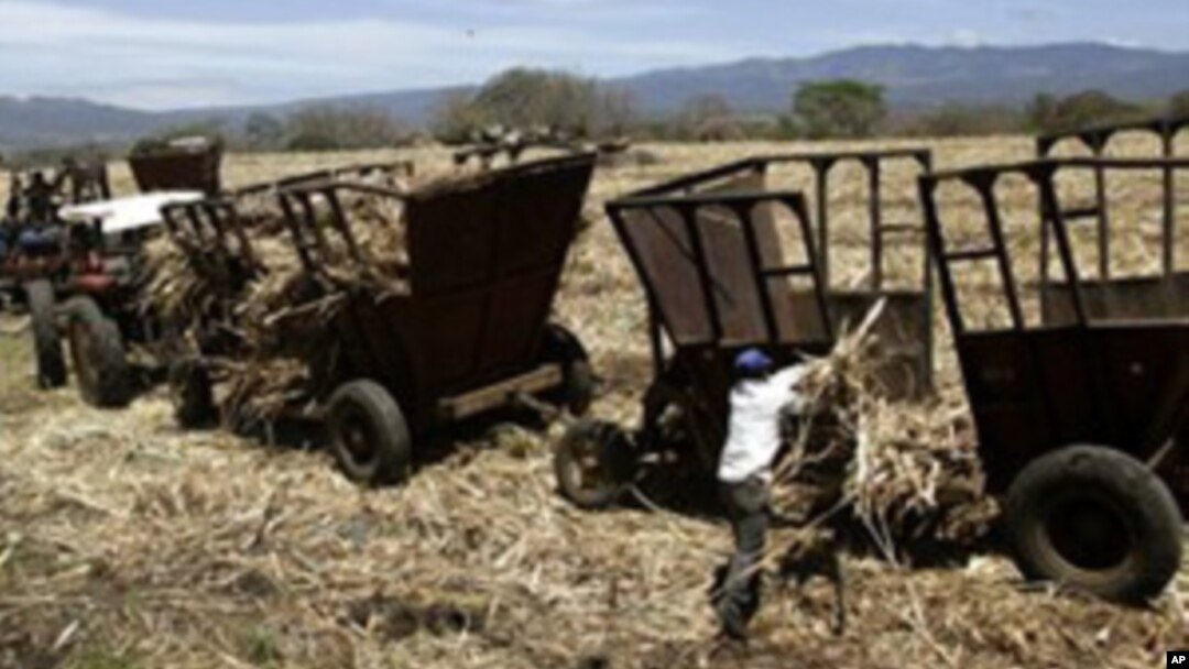 Los expertos del FMI también podrían evaluar el crecimiento económico de Nicaragua en 2015.