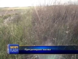 Повитални пасишта